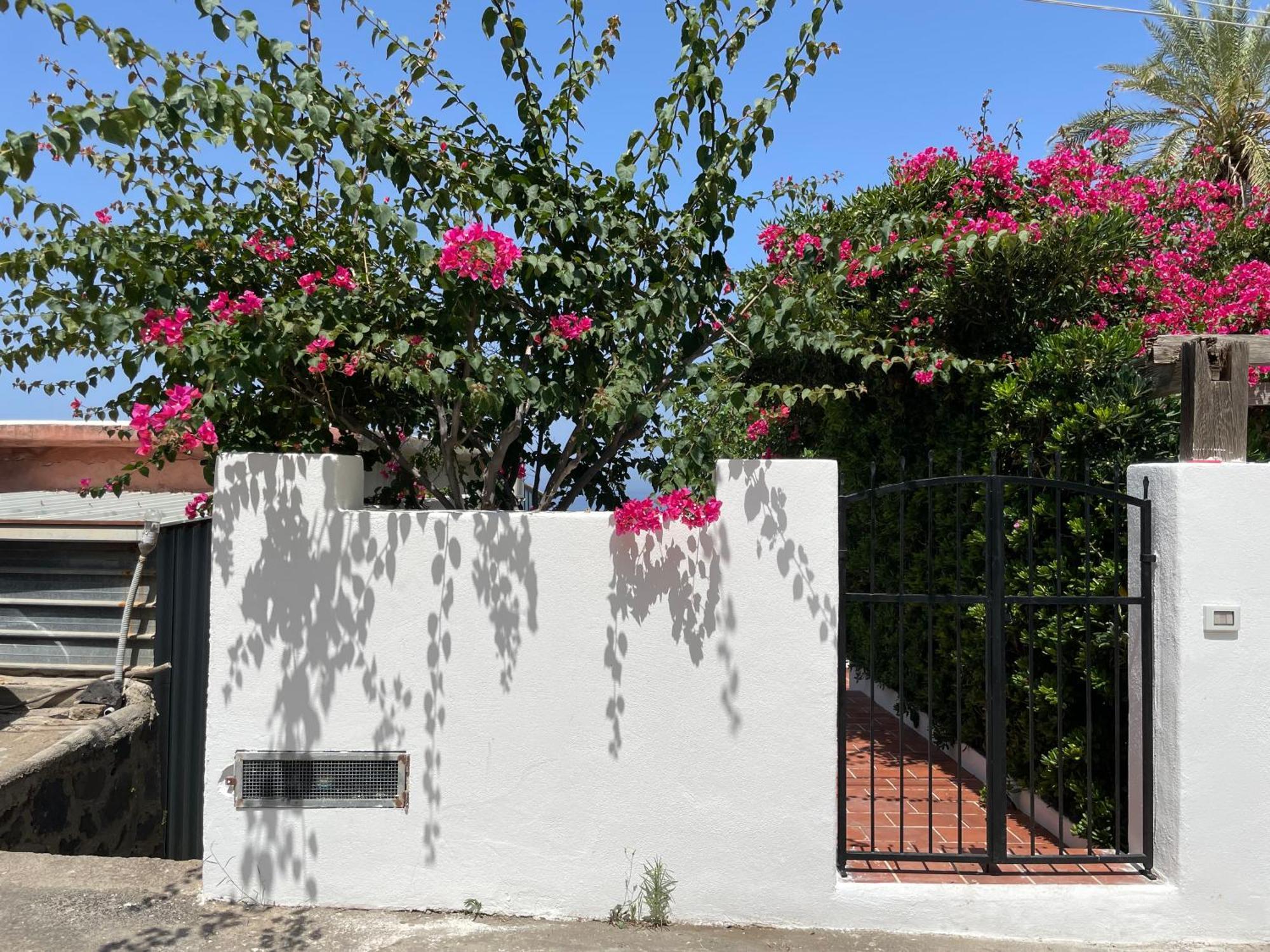 Casa Bouganville Pollara Esterno foto